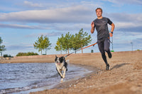 Non-Stop Dogwear Bungee Leash